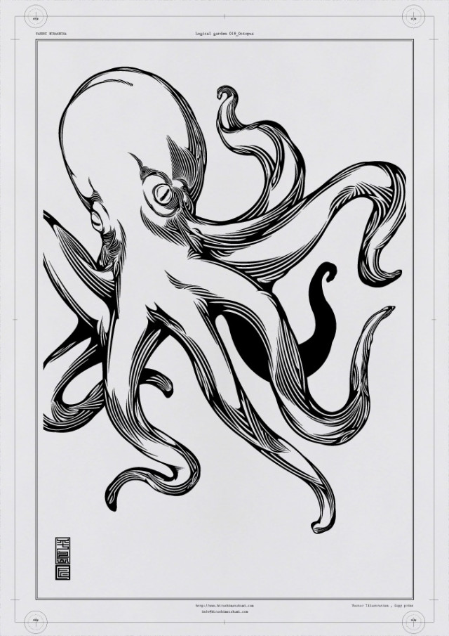 019 Octopus